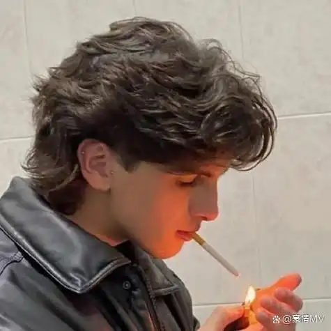 6686体育官网银牌作者Willow