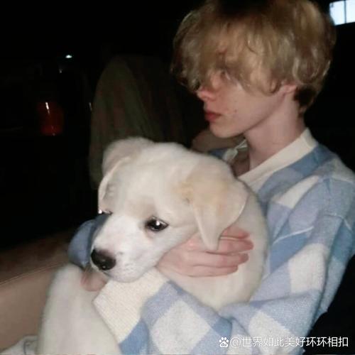 6686体育官网首席作者Sage