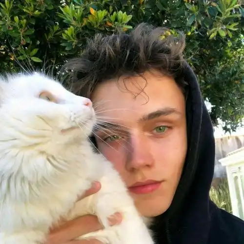 6686体育官网特邀作者尐兎兎