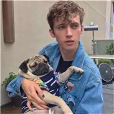 6686体育官网特邀作者猫咕