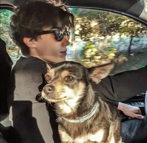 6686体育官网金牌作者Archie