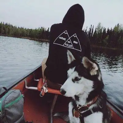 6686体育官网铜牌作者Isla